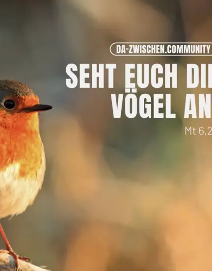 Titelbild